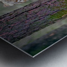 Call of the wild  Metal print