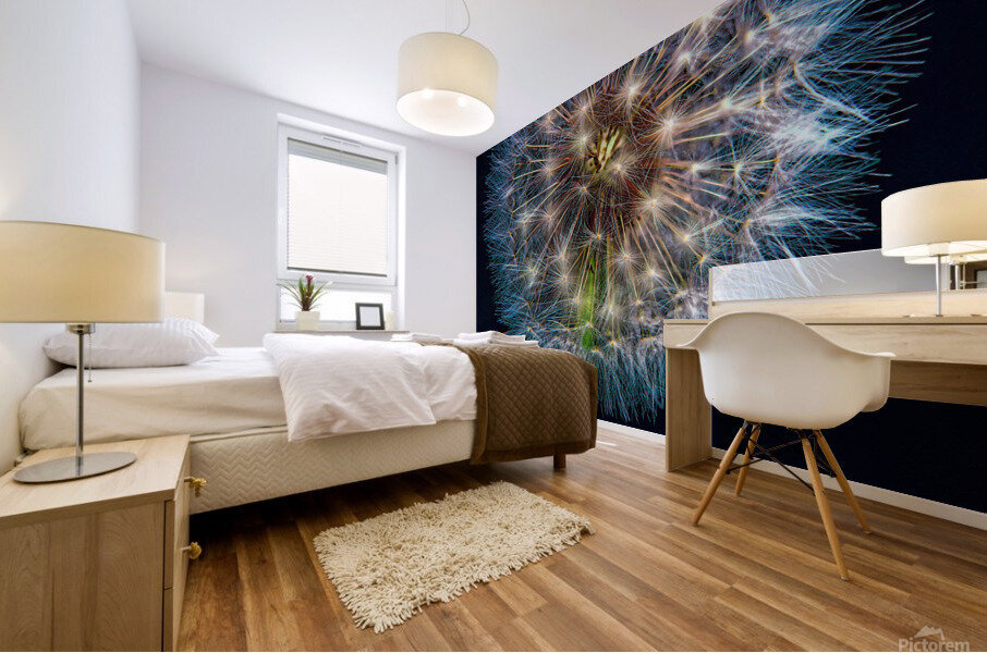 Dandelion Burst Mural print