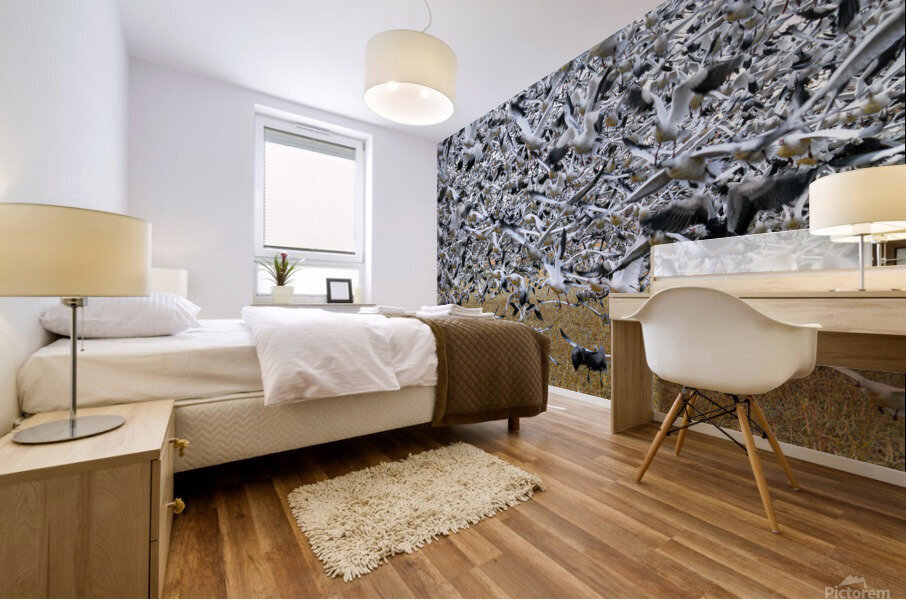 Lift Off  Mural print