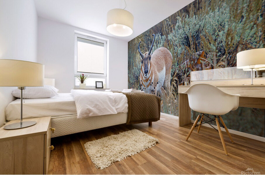 Pronghorn Antelope Mural print
