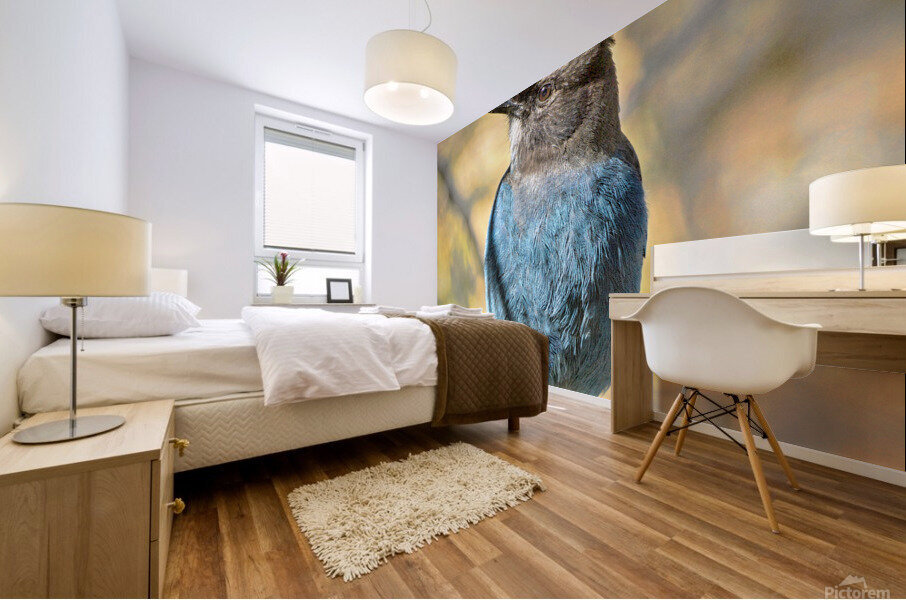 Steller Jay Mural print