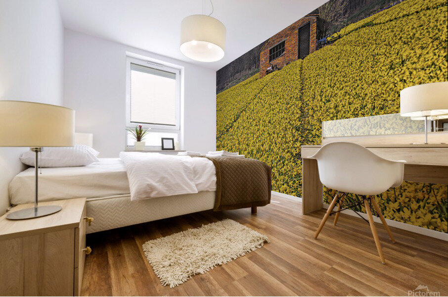 Flourishing fields of flowers Holland Mural print