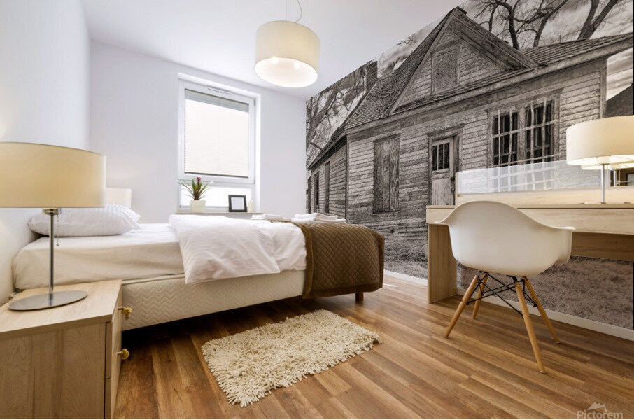 Farmhouse disrepair Mural print