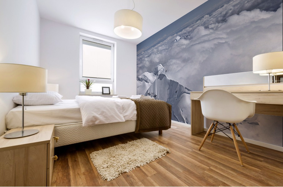 Alaska mountain range Mural print