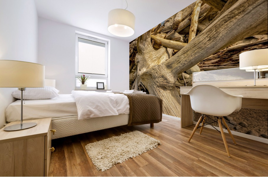 Drift wood in Washington Mural print