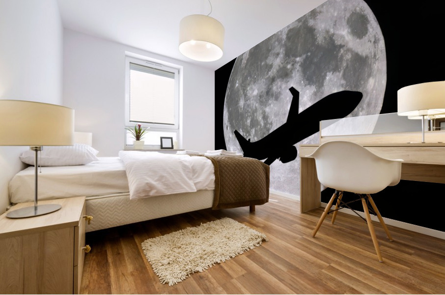 Planet moon Impression murale