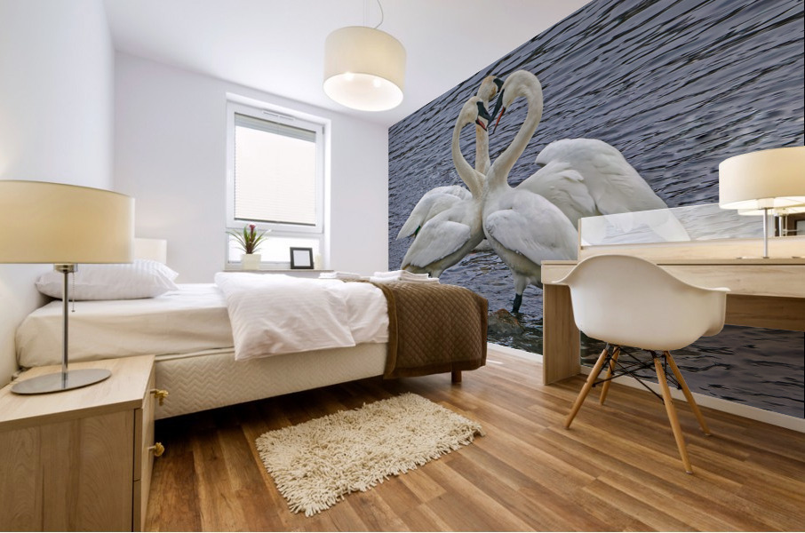Hearty Swans Mural print