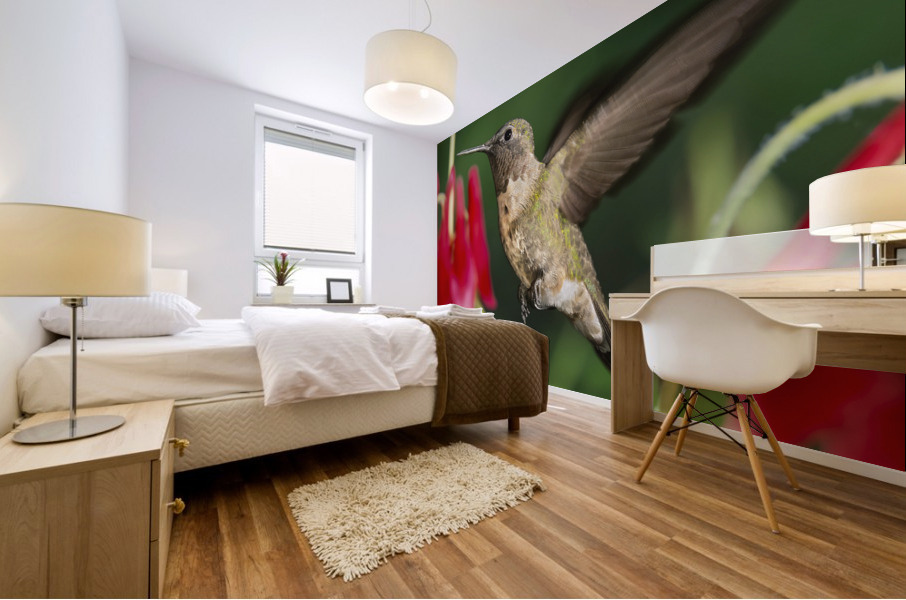 Hummer in the red Mural print