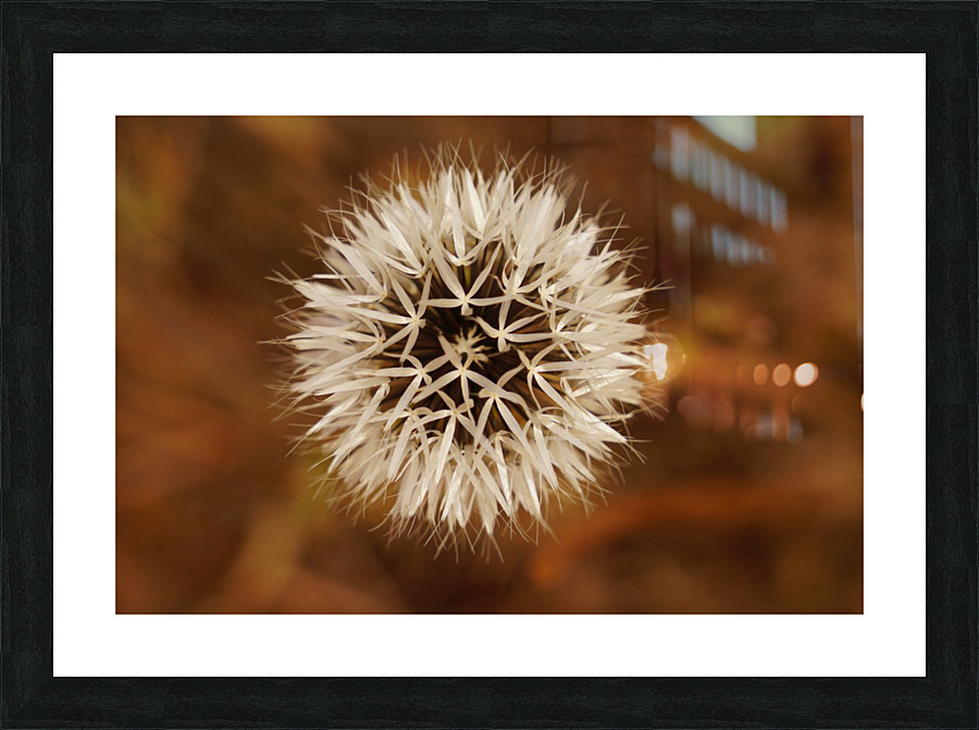 Silver Puff Picture Frame print