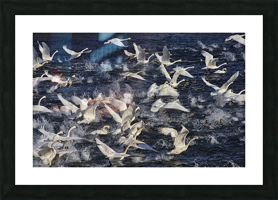 Liftoff  Picture Frame print