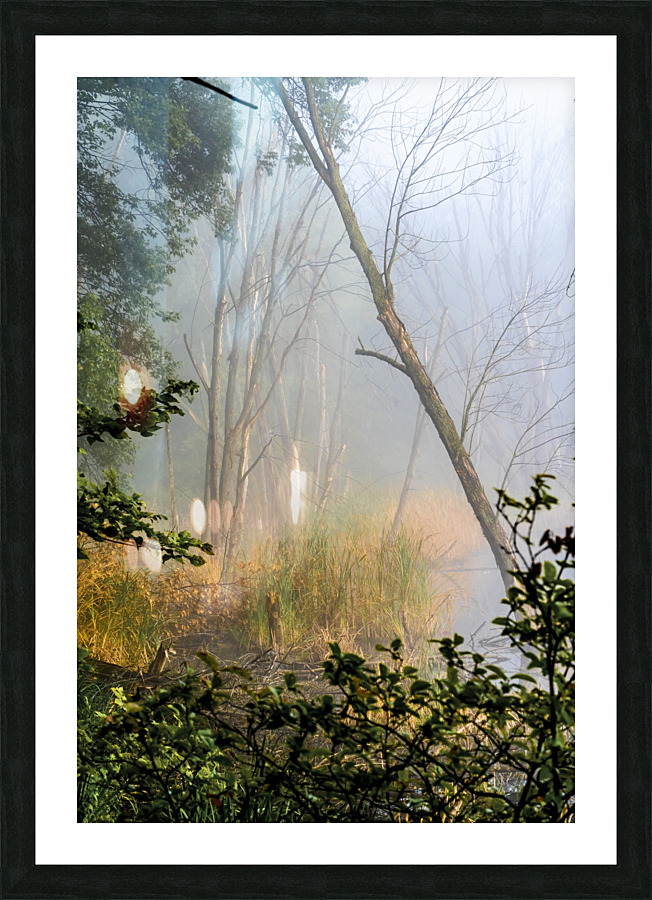 Tilting Timber Picture Frame print