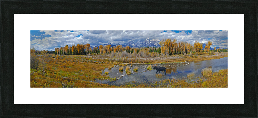 The Snake River near the Tetons Picture Frame print