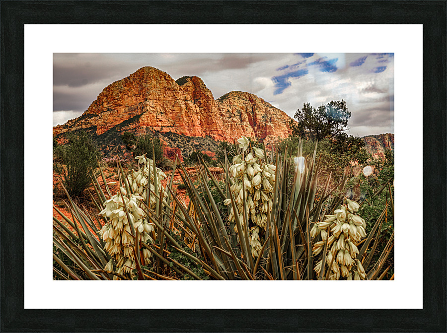 Flowers in Sedona Picture Frame print