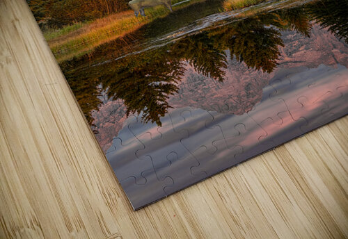 Moose in the Morning Jim Radford puzzle