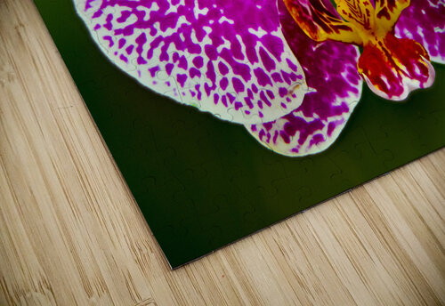 Pink Orchid Jim Radford puzzle