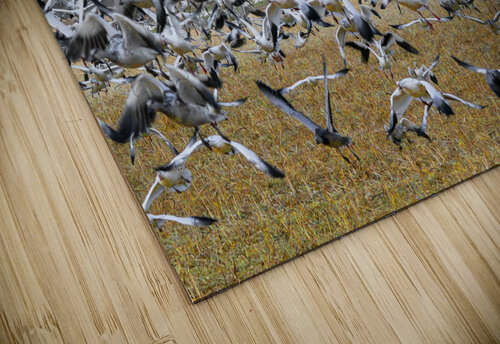 Lift Off  Jim Radford puzzle