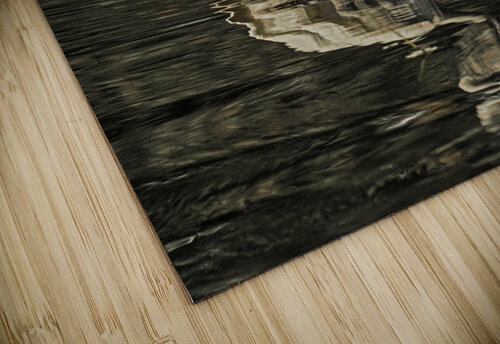 Egret fishing Jim Radford puzzle