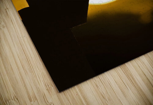 Tree Swallow Jim Radford puzzle