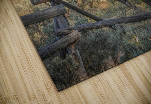 Bison leaping Jim Radford puzzle
