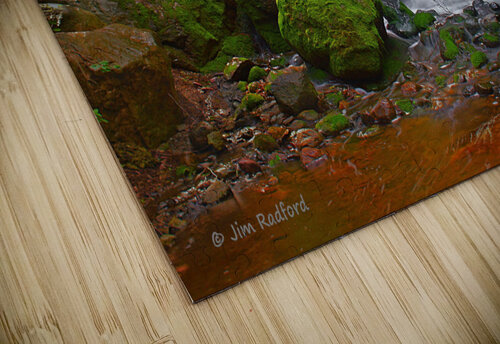  Arboretum Falls Jim Radford puzzle