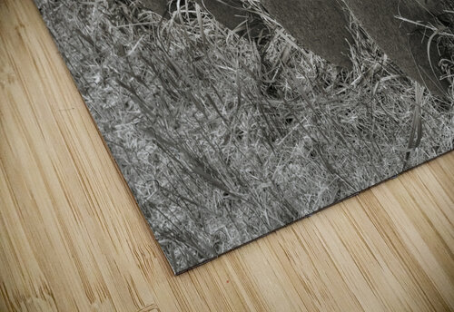 The farm cultivator Jim Radford puzzle