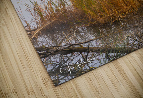 Crane over inland waters  Jim Radford puzzle