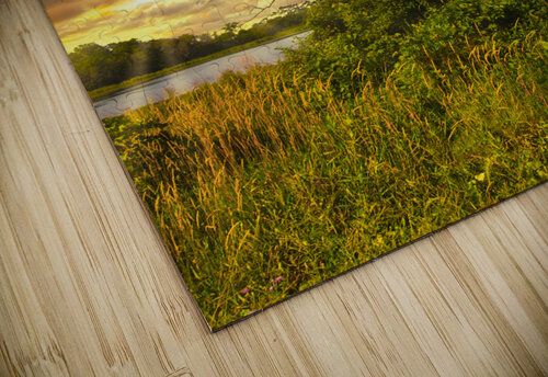 The eagle has landed Jim Radford puzzle