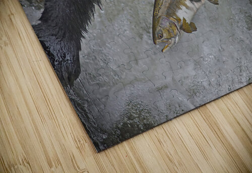 Black bear dinner Jim Radford puzzle