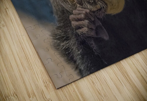 Speak no evil  Jim Radford puzzle