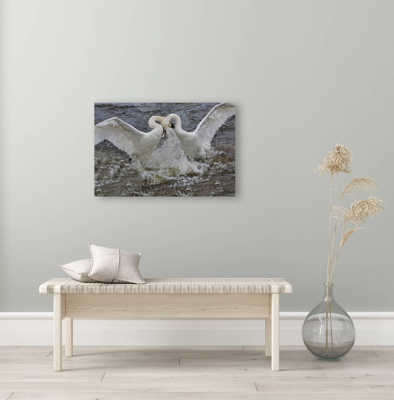 Battling Swans Reproduction