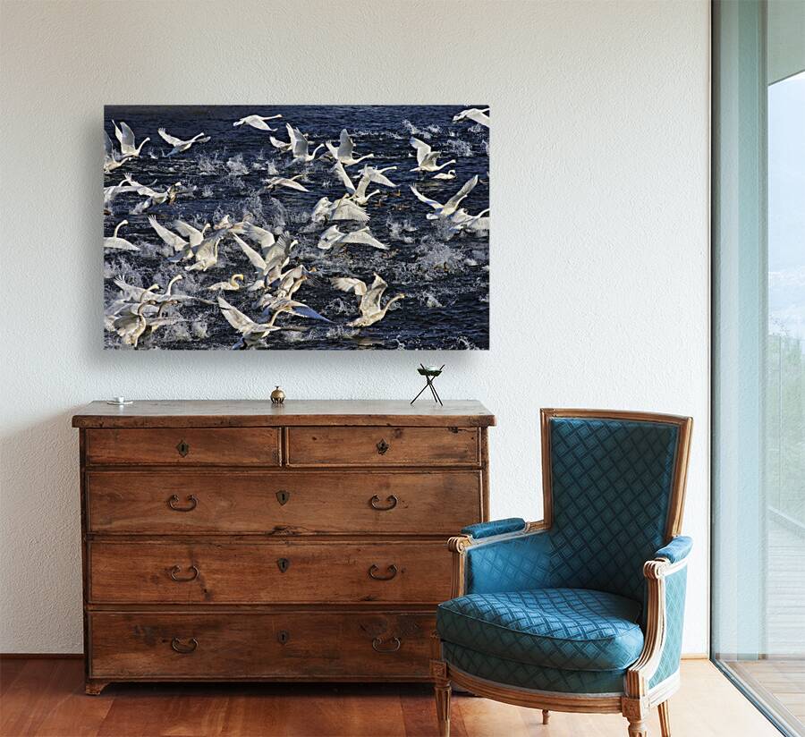 Liftoff  Reproduction