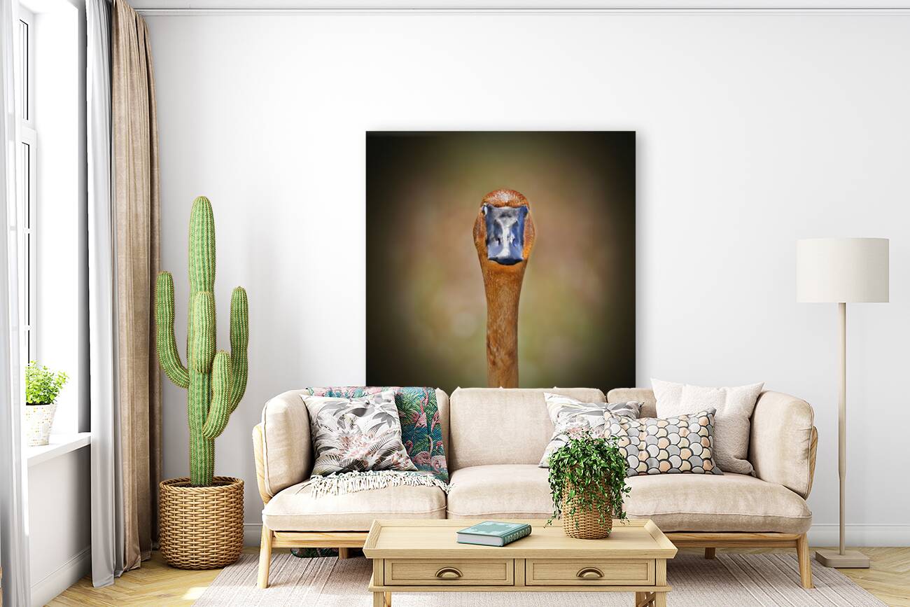 Foraging in the mud Reproduction