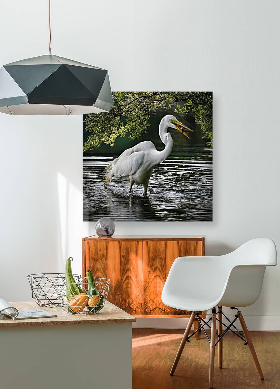 Just lunch  Reproduction