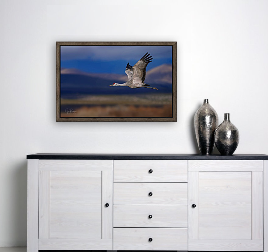 Crane over the Bosque Reproduction