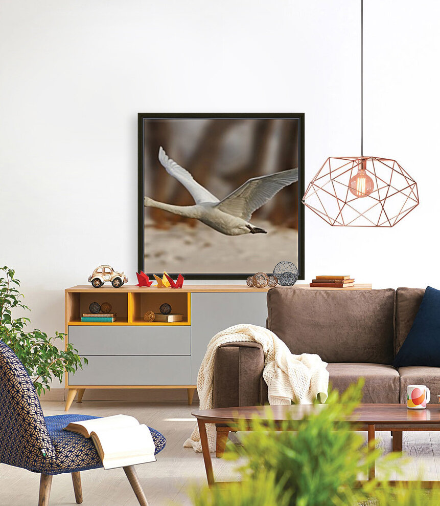 Trumpeter Liftoff Reproduction