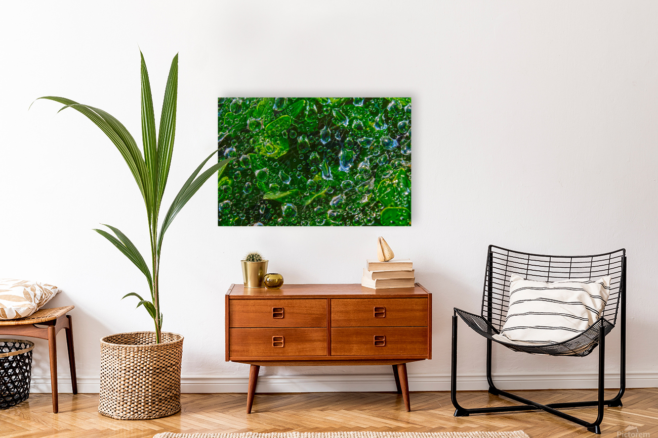 Water Drops Reproduction