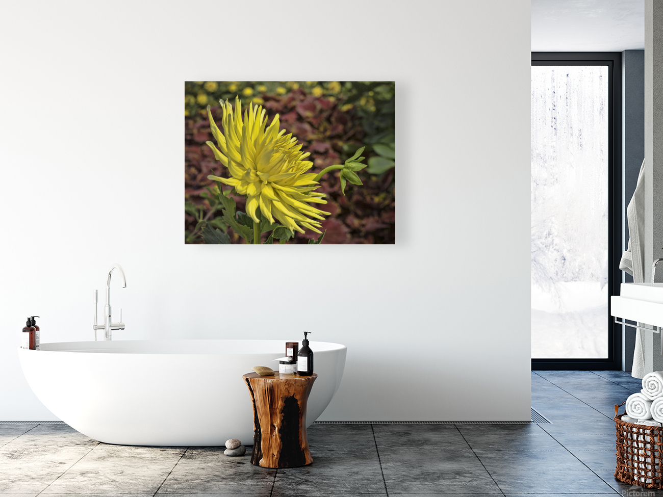 Yellow Dahlia Reproduction