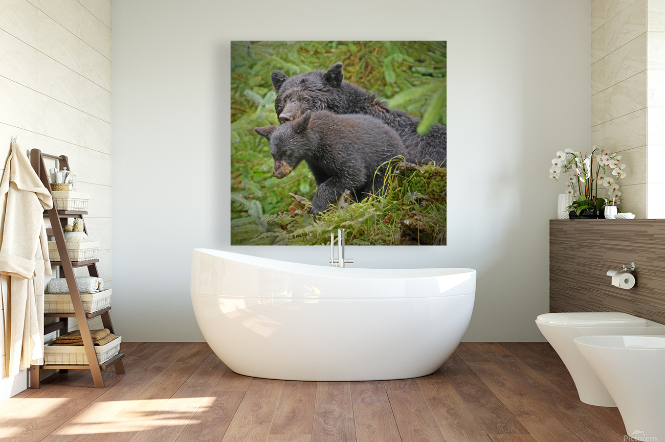 Mom and Cub Reproduction