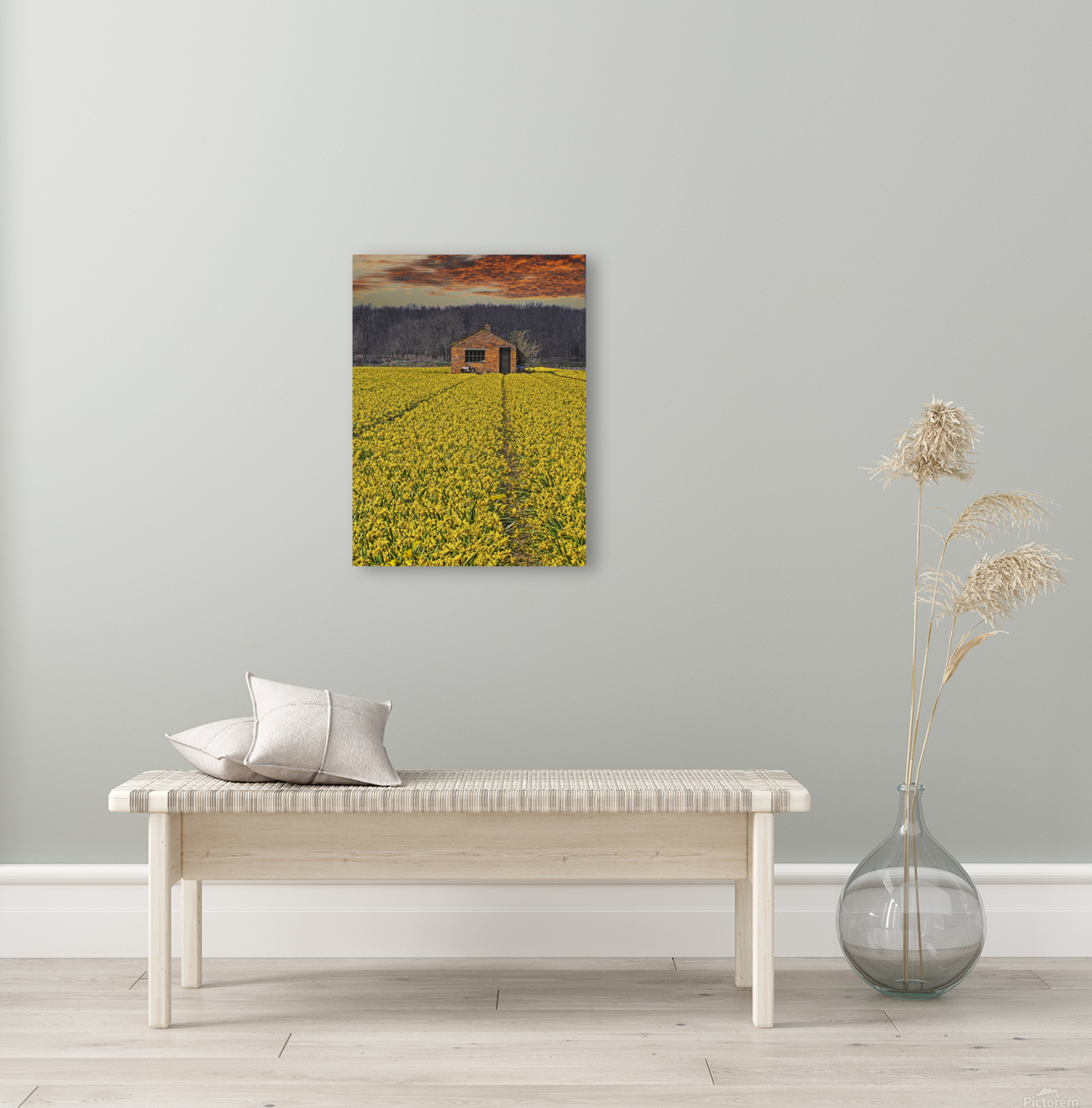 Flourishing fields of flowers Holland Reproduction