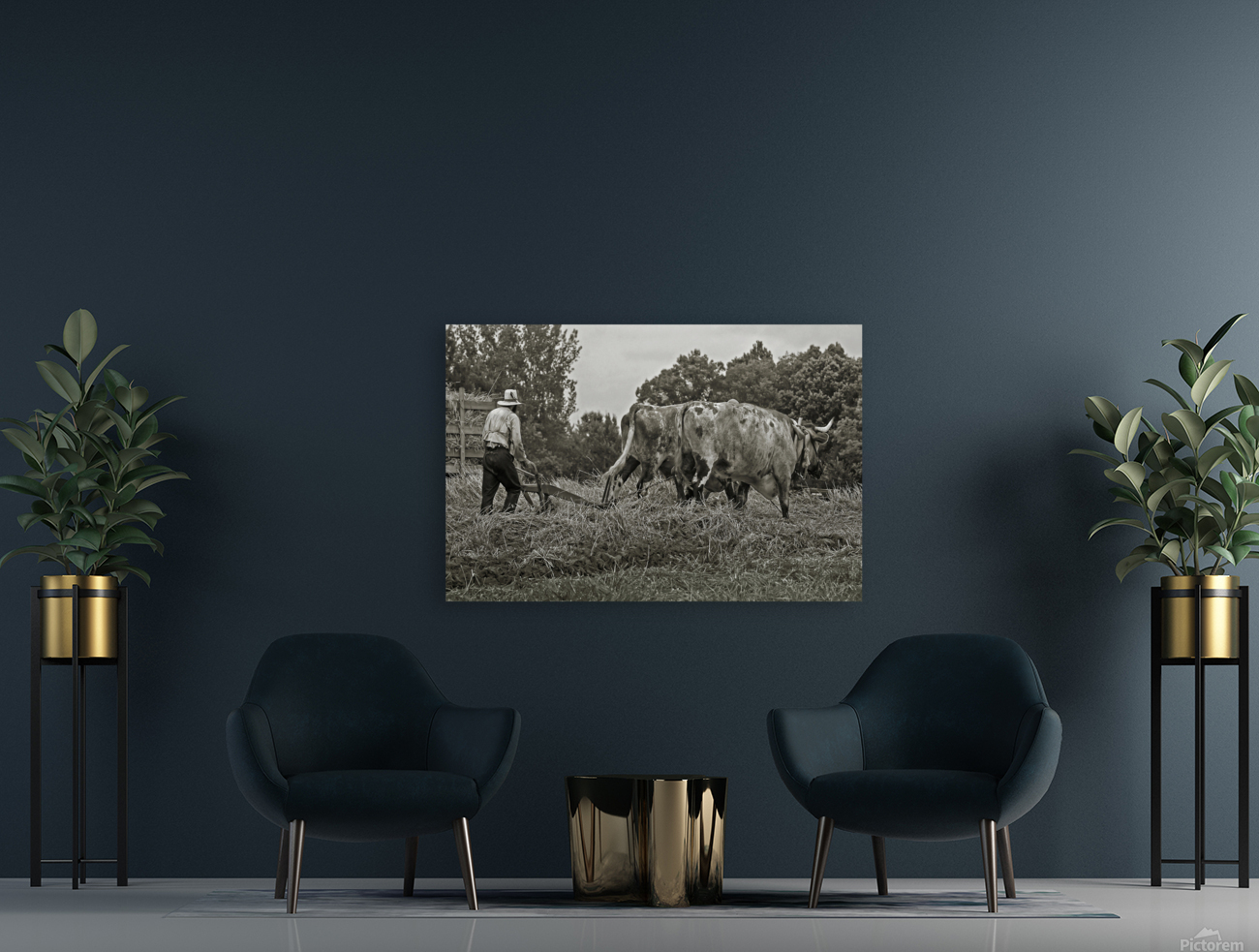 Farming with Oxen  Reproduction