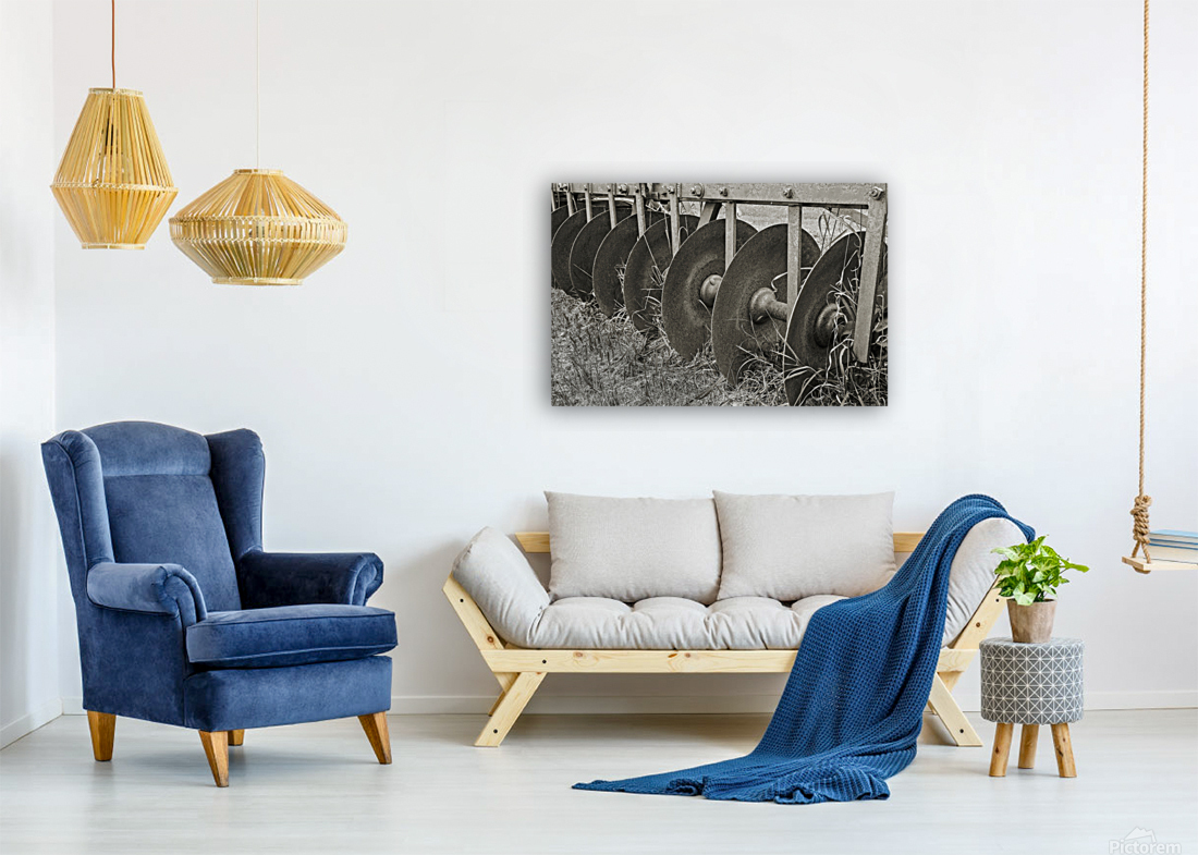 The farm cultivator Reproduction