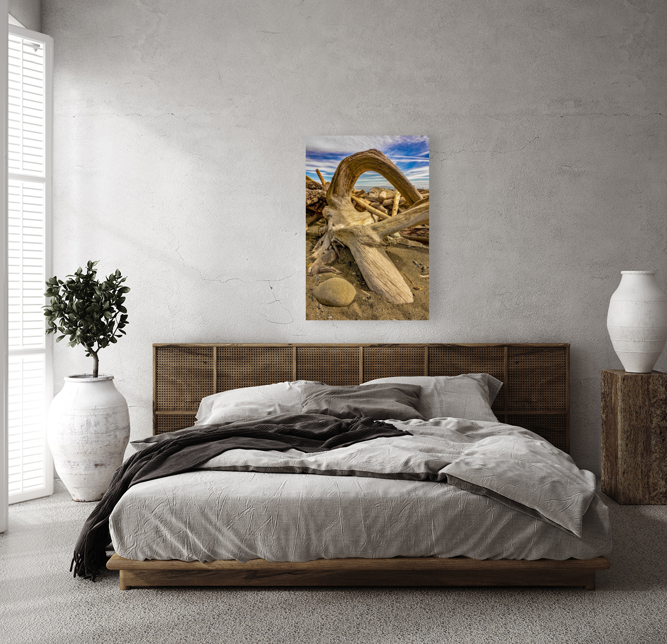 Drift wood in Washington Reproduction