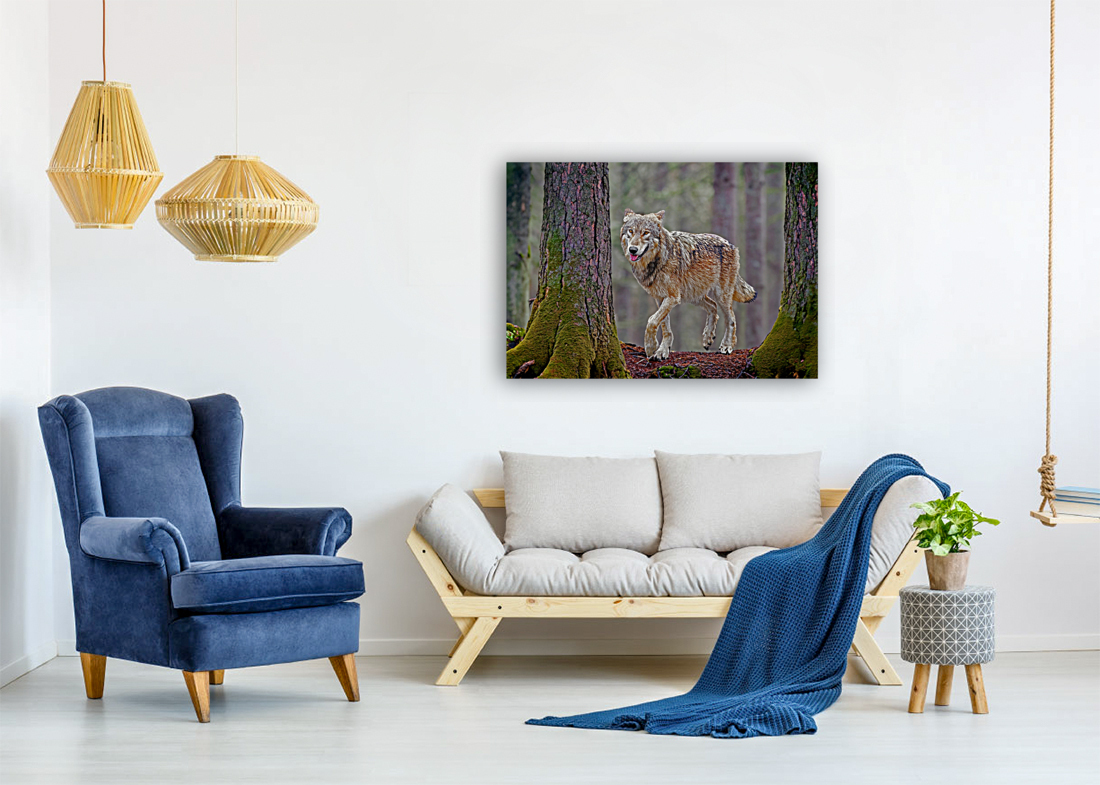 Call of the wild  Reproduction