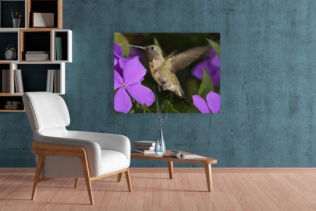 Hummer in the purple Reproduction