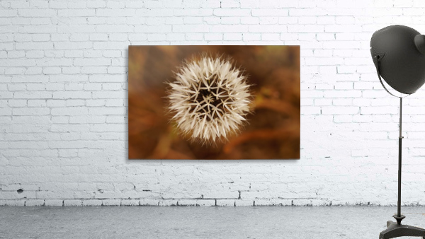 Silver Puff Wall Preview