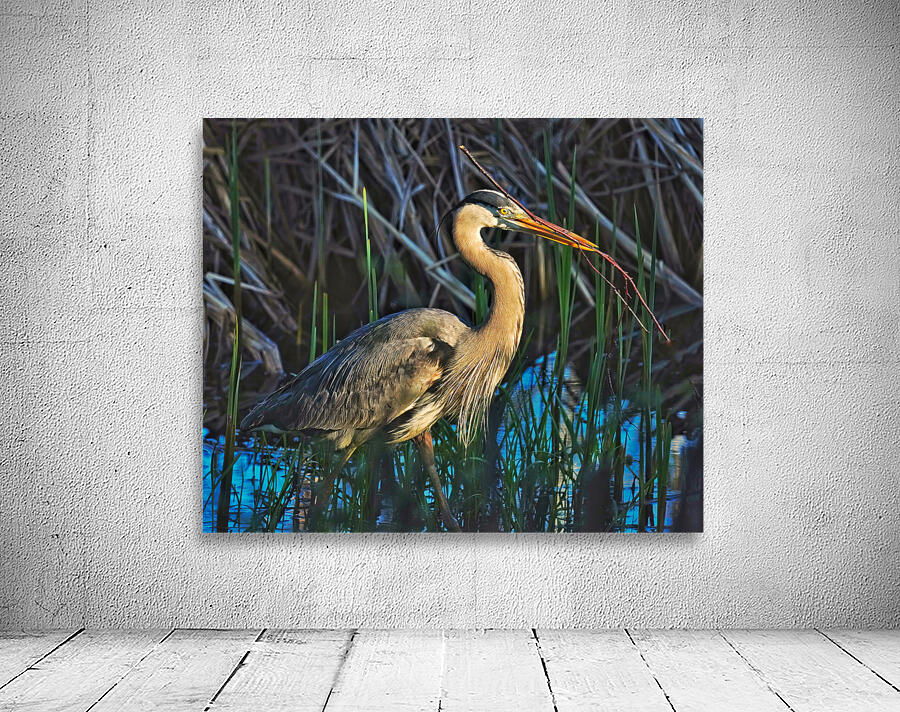 Heron in the morning Wall Preview