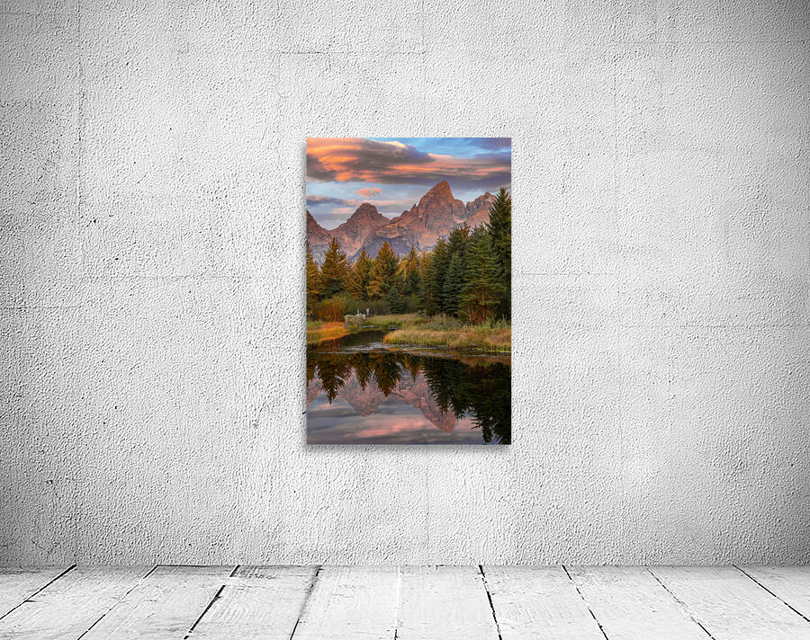 Moose in the Morning Wall Preview