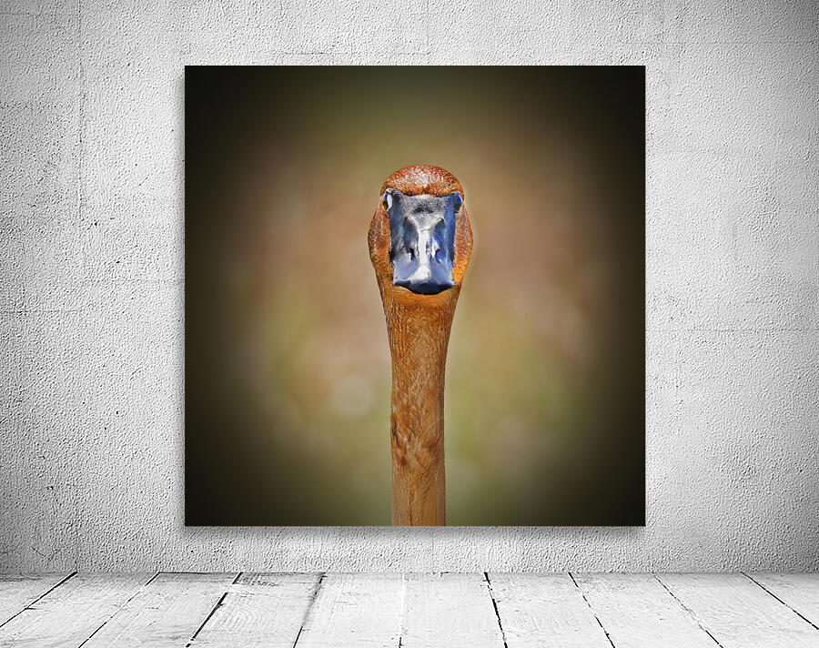 Foraging in the mud Wall Preview