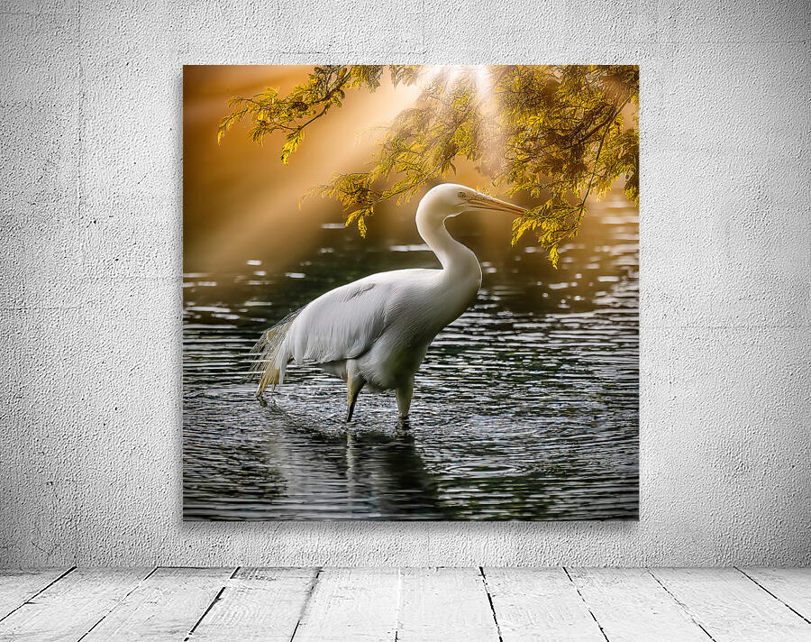 Egret on the hunt Wall Preview