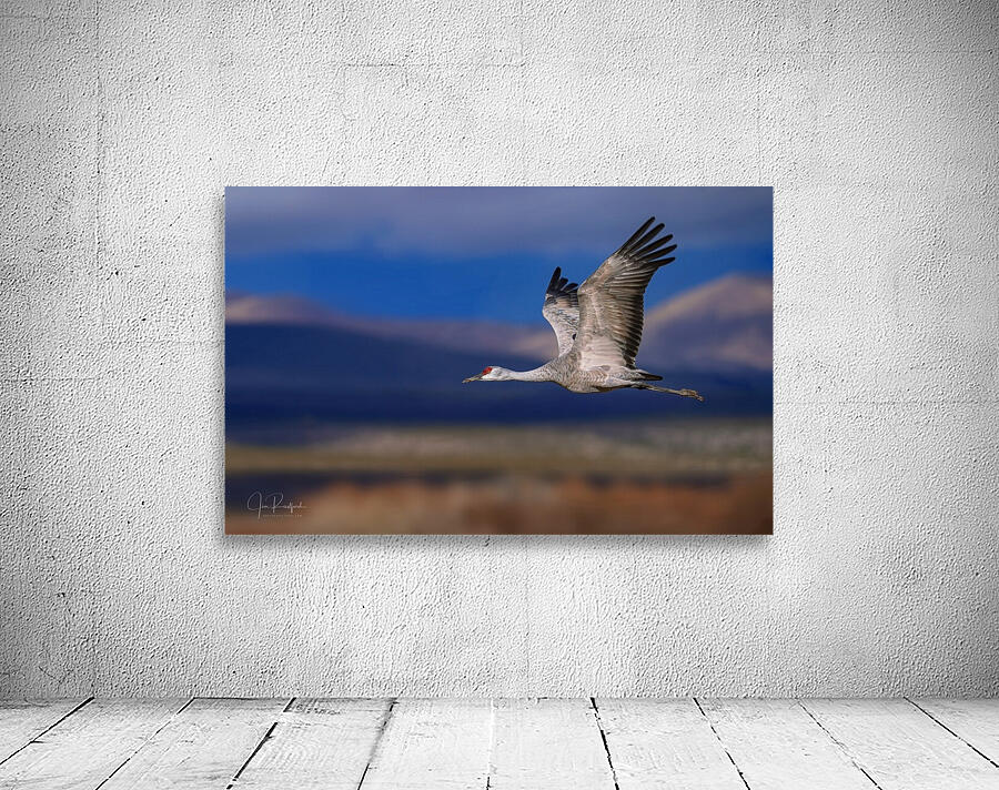 Crane over the Bosque Wall Preview